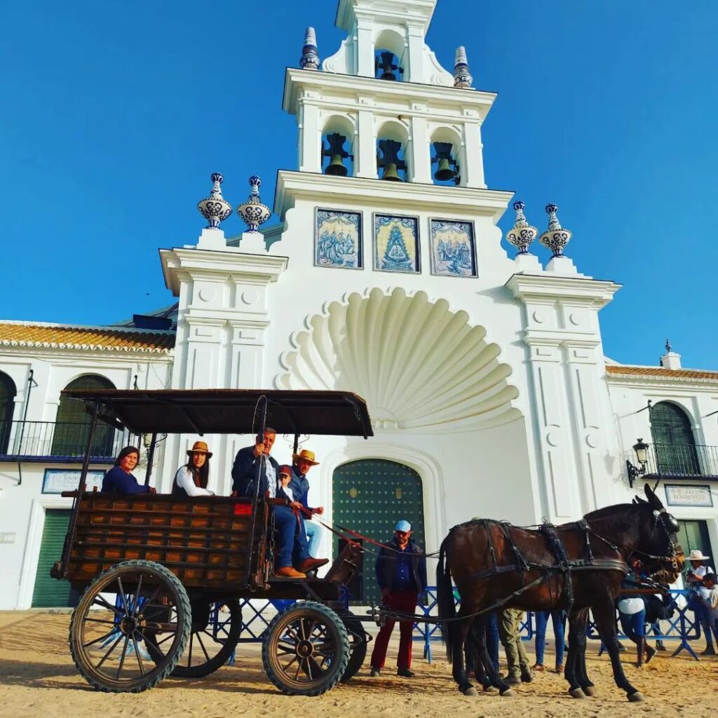 Transporte de Caballos